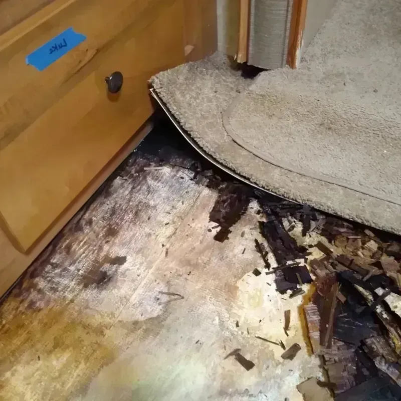 Wood Floor Water Damage in Darlington, SC